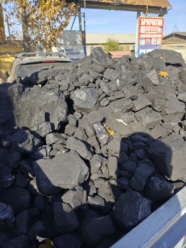 семена петунии купить бишкек: Каменный уголь фракции среднего размера (примерно 30–120 мм), навалом