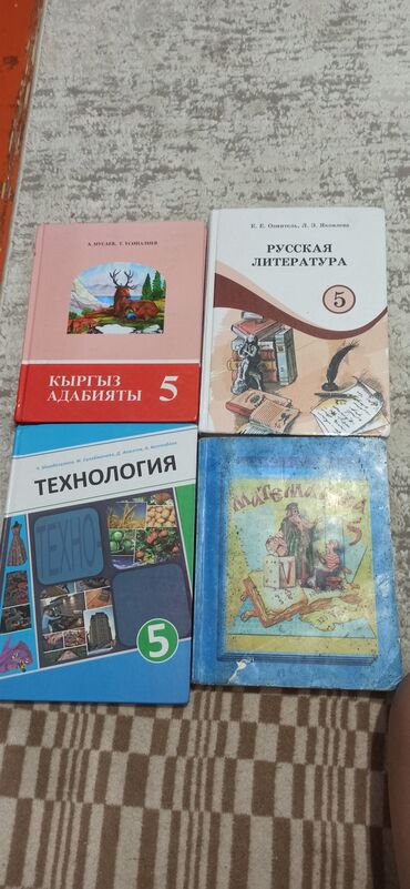 2 класс кыргыз тили 196 конугуу: Кыргыз адабияты, 5-класс, Жаңы, Өзү алып кетүү, Акысыз жеткирүү