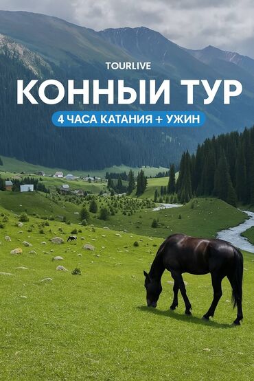 Иссык-Куль 2025: Коттедж, ЧОН-КЕМИН