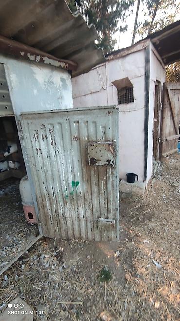 göyərçin yuvaları: Metaldan hazırlanmış göyərçin küpüsü/ləpiri Ölçü və konstruksiya: - — 5