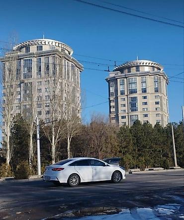 2016: 4 комнаты, 165 м², Элитка, 5 этаж — 3