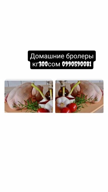 купить барана на мясо в бишкеке: Домашние бролеры кг