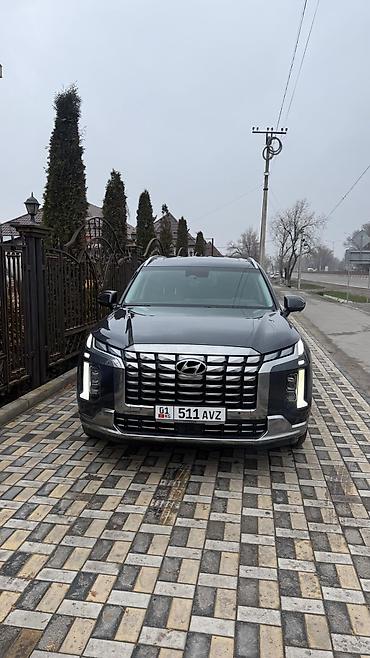 матиз молдинг: Hyundai Palisade: 2023 г., 2.2 л, Автомат, Дизель, Внедорожник — 2