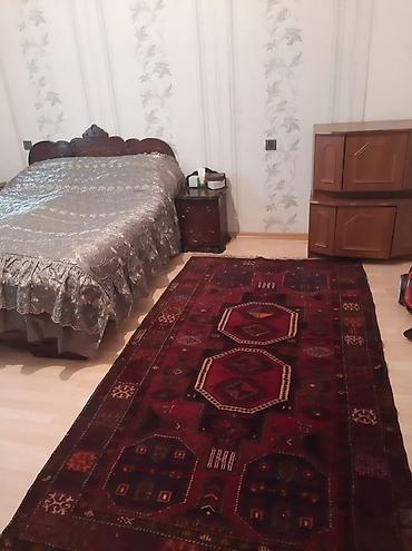 Həyət evi alıram: - Geniş, daşla döşənmiş həyət: yaşıl ağaclar, gül kolları, hasarlı — 11