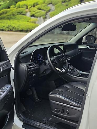 палисай: Hyundai Palisade: 2021 г., 2.2 л, Автомат, Дизель, Кроссовер — 8