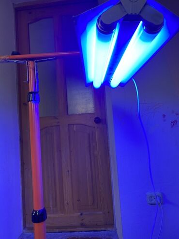 мониторы 21 22.9: Продаю Фотолампа от желтухи с двумя лампами Philips на штативе