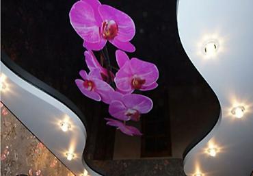 Другие строительные материалы: Потолок жасайбыз опыт работы 15 жыл — 6