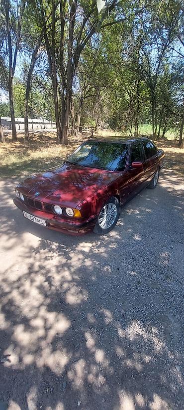 меняю на е34: BMW 5 series: 1992 г., 2.5 л, Механика, Бензин, Седан — 1