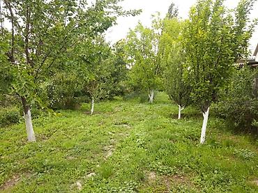 Продажа домов: Дом, 160 м², 6 комнат, Собственник, Косметический ремонт — 22