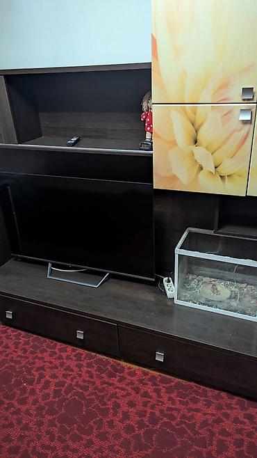 карьер продажа: 24 м², С мебелью полностью — 2