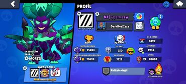 Nintendo Switch: Brawl Stars hesabı – - Kupa: 75 203 - 92/94 karakter - Hiperşarj