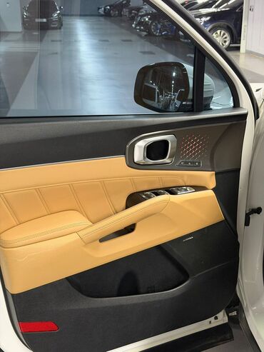 Kia: Kia Sorento: 2020 г., 2.2 л, Дизель — 18