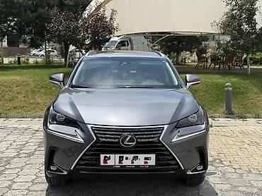 lexus: Lexus NX: 2019 г., 2 л, Автомат, Бензин, Кроссовер — 3