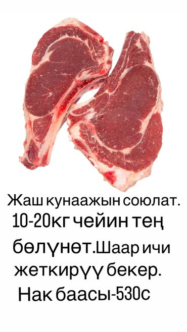 Мясо, рыба, птица: Таластын малы Таза чопко Таза жемге байланган кунаажын Эт Эт Мясо