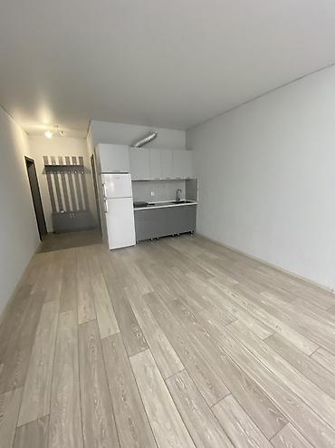 Долгосрочная аренда квартир: 1 комната, С мебелью частично — 3