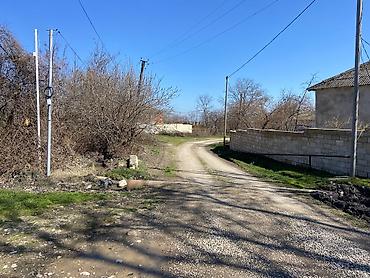 Torpaq sahələrinin satışı: Kənd təsərrüfatı — 7