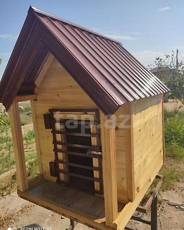 Yuvalar: Keyfiyyətli it yuvaları yığılır. 3-lük qalın taxta ilə yığılır. Gəmi — 8