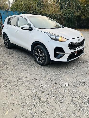 bad ass: Kia Sportage: 2019 г., 1.6 л, Автомат, Дизель, Кроссовер — 3