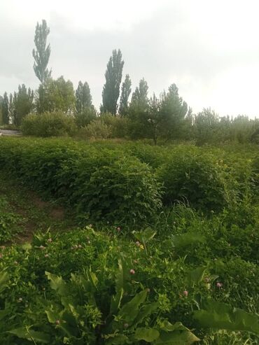 радуга цо квартира: 20 соток, Для строительства, Договор купли-продажи
