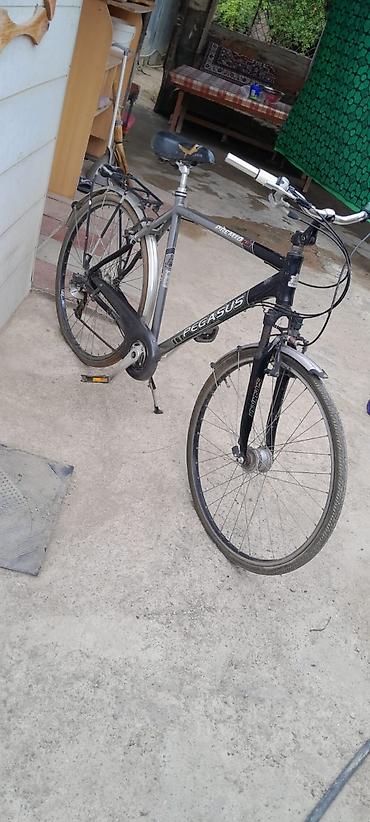 velosiped mercury: Pegasus Premio (Alu) şəhər/trek velosipedi - Yüngül alüminium gövdə - — 2