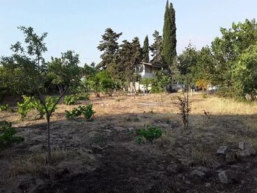 saray qəsəbəsində evlər: Bakı, Albalı, 70 kv. m, 2 otaqlı, Hovuzsuz, İnternet, Telefon, Qaz