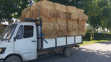 продажа домашних животных: Буудай саман. пшеничная салома по 120сом 200штук