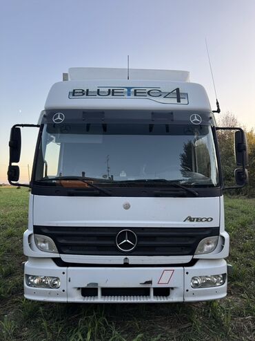 чехол для машины цена: Жүк ташуучу унаа, Mercedes-Benz, Стандарт