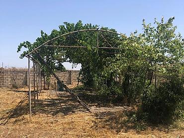 8 mikrorayon: Bakı, 250 kv. m, 8 otaq, Hovuzsuz, Qaz, İşıq, Su — 5