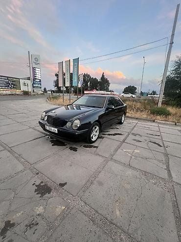 рул мерс 210: Mercedes-Benz E-Class: 1999 г., 2.2 л, Автомат, Дизель, Седан — 6