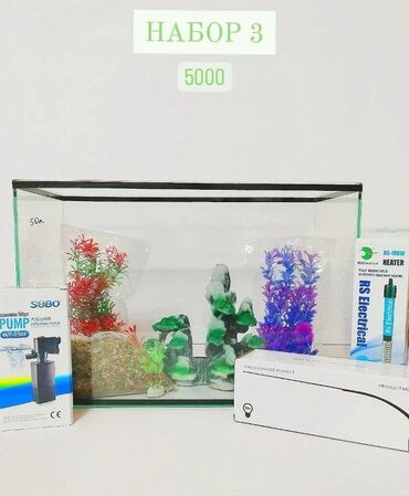 аквариумные рыбы: Аквариум с комплектом оборудования и декораций объёмом 50 литров. В
