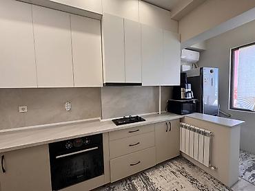 2023: 1 комната, 49 м², ул. Московская / Уметалиева Индивидуалка, 8 этаж, Евроремонт — 4