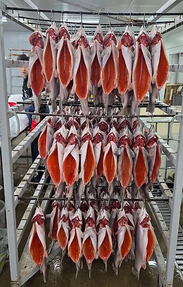инкубатор икры: Икра, форель и халяльная домашняя куриная продукция. - Икра — 2000 — 9