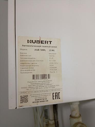 kaz: Автоматический газовый котел HUBERT AGB 18WL - Тип газа: природный - — 4