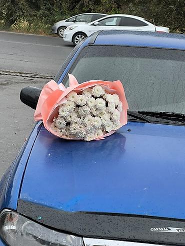 радиятор: Chevrolet Nexia: 2010 г., 1.5 л, Механика, Бензин, Седан — 5