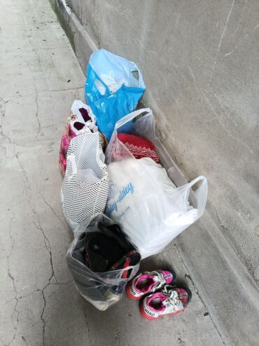 в связи с переездом отдам попугая жако в добрые руки: Отдам даром