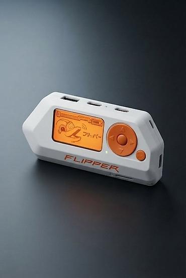 FLIPPER ZERO Оригинал. В наличии / под заказ. Без копий и лишнего