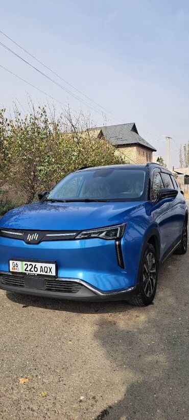 Voyah: Voyah : 2021 г., 1.7 л, Автомат, Электромобиль, Кроссовер — 2