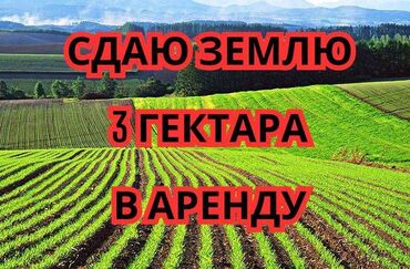 суб аренда: 300 соток Для сельского хозяйства, Электричество, Водопровод, Холодная вода