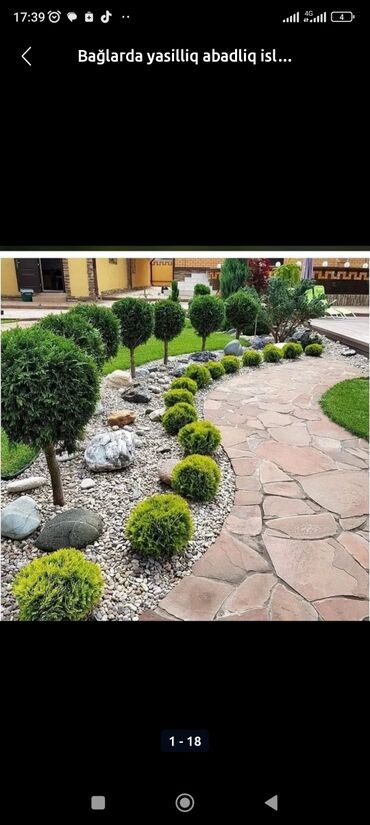 Landşaft işləri: Qazon catrlma qurasdrma agaclarin budanmasi dermanlanmasi ummu — 19