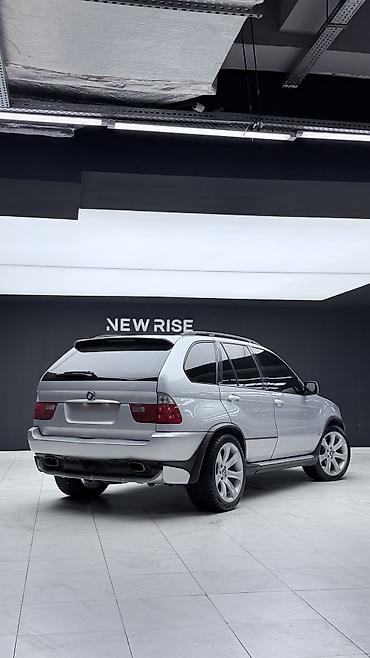 BMW: BMW X5: 2004 г., 4.8 л, Автомат, Бензин, Кроссовер — 5