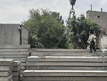 белый лук: Больше 6 лет опыта — 3