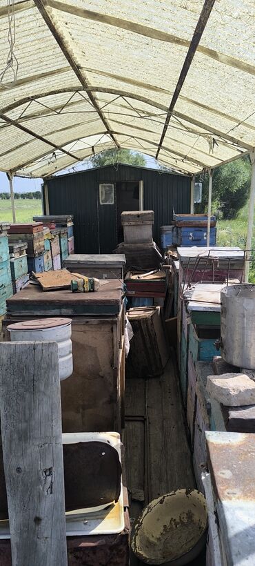 Другая сельхозтехника: Кочевая пасека на прицепе-платформе срочно срочно срочно очень — 10