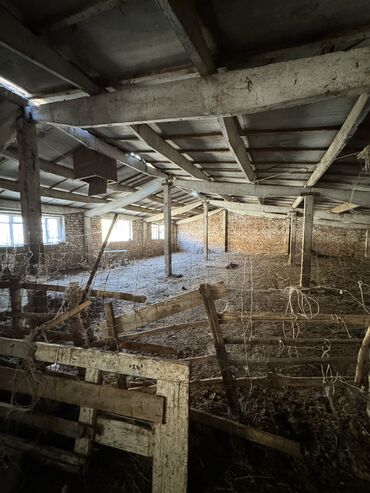 Сельхоз предприятия: Продаю Кошара, 130 соток, Действующий, Частично с оборудованием, Электричество, Канализация, Отопление — 10