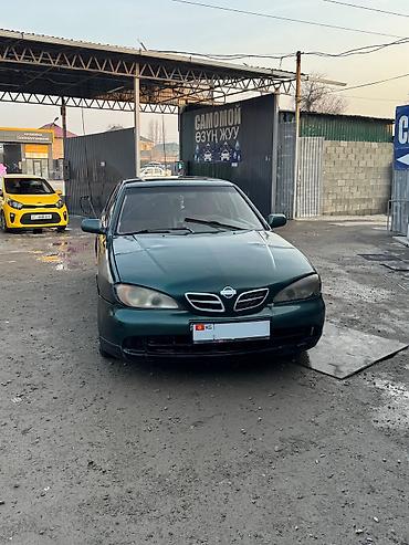 Nissan: Nissan Primera: 2000 г., 2 л, Ручные, Бензин — 2