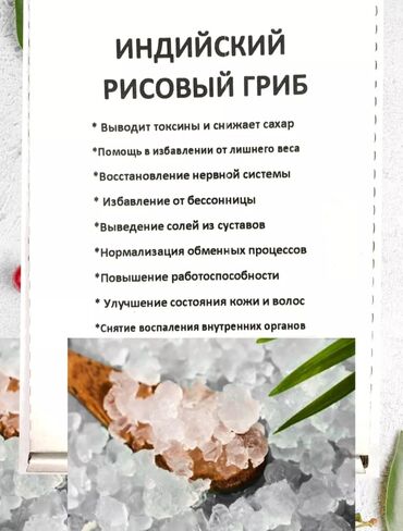 костюм игры кальмара: Морской рисовый гриб для кваса Морской рис - это индийский эликсир