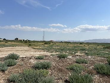 xizi: 500 sot, Kənd təsərrüfatı, Mülkiyyətçi, Kupça (Çıxarış), Texniki pasport — 1