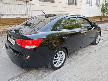 kia rio aksesuar: Kia Cerato: 1.6 l | 2011 il Sedan