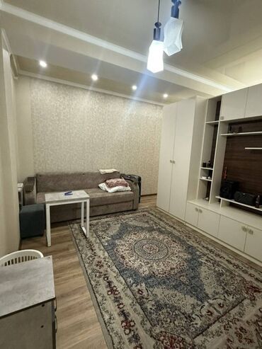 срочно продаётся 1 комнатная квартира в районе парк фучика: 1 бөлмө, 45 кв. м, Элитка, 5 кабат, Евроремонт