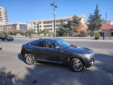 BMW: BMW X4: 2 l | 2015 il Ofrouder/SUV — 15
