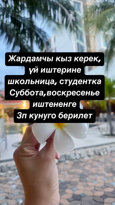 ищу работу домработница: Требуется Домработница, Работа в выходные, Оплата Ежедневно
